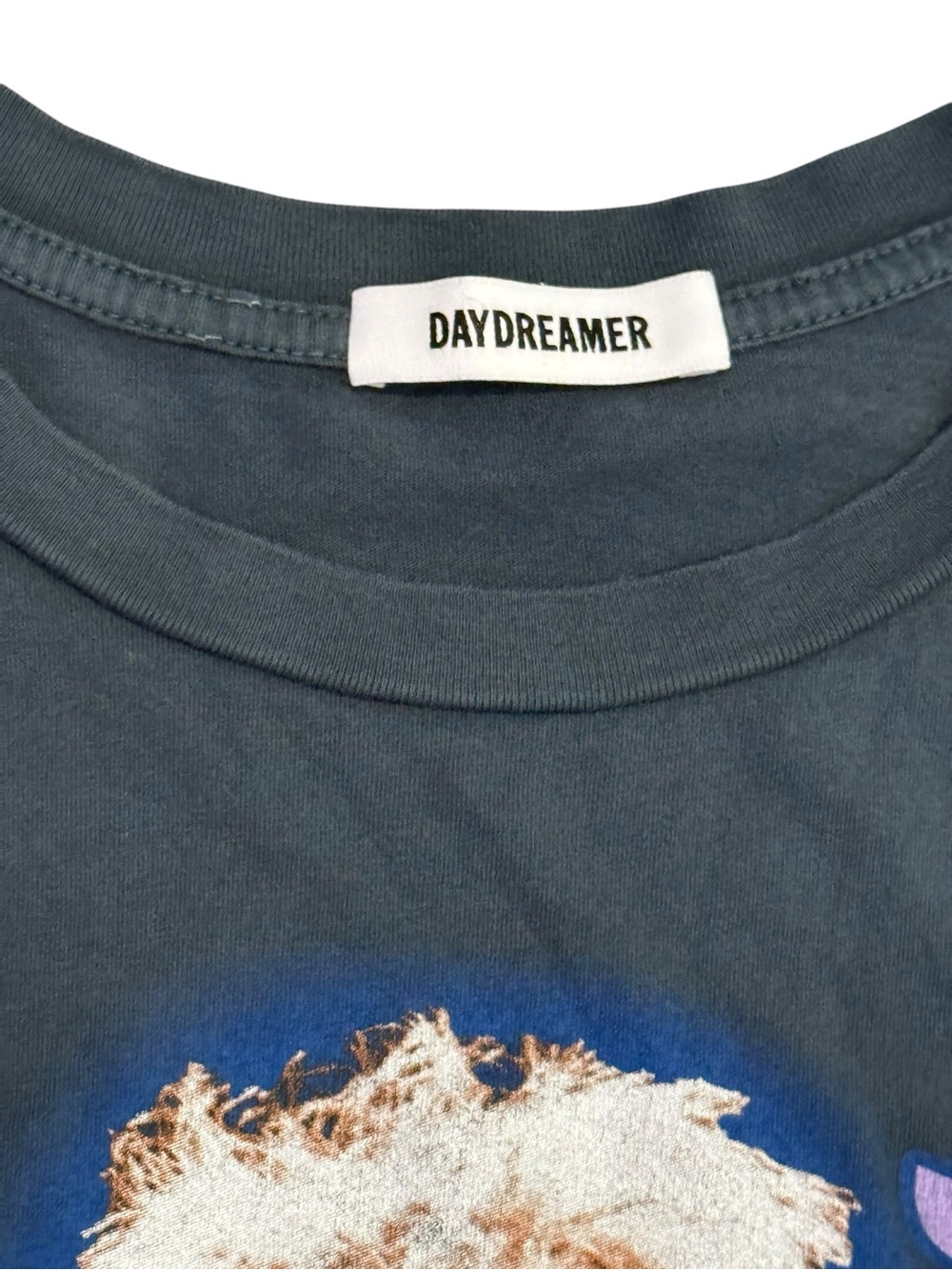 Daydreamer Tina Turner Graphic Tee Oversized Medium Vintage Style Band Tee - Picture 3 of 7